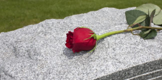 Rose on a Grave