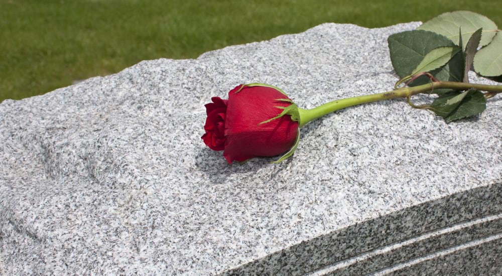 Rose on a Grave
