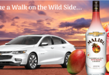 White 2019 Chevy Malibu and Malibu rum, mangos and glass in front of sunset