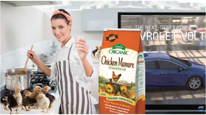 Chef making soup with chicken manure, TV with 2019 Chevy Volt in back