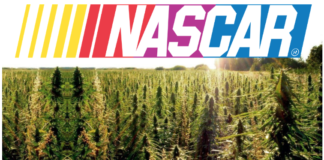 A field of marijuana plants with the NASCAR logo above