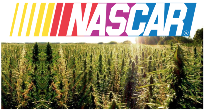 A field of marijuana plants with the NASCAR logo above