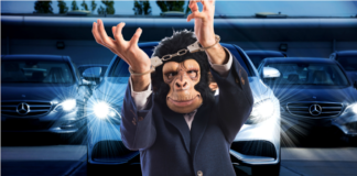 A man in a monkey mask is arrested at Uncle Jays Used Car Emporium