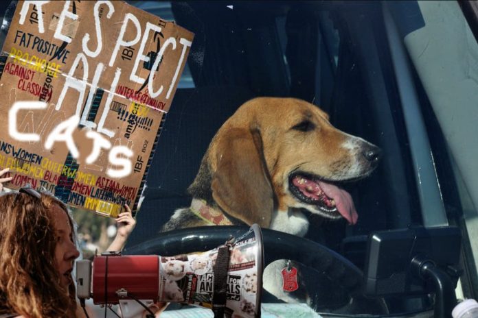 A dog is behind the wheel while a woman with a cat protesting sign and megaphone is over laid in front. Dog usage is important when comparing the 2019 Buick Encore vs 2019 Chevy Trax.
