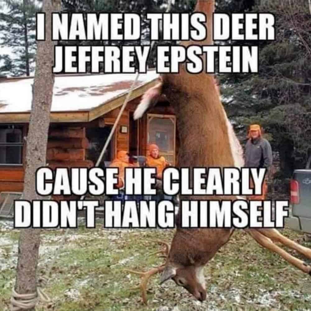 A meme of a hanging deer named Jeffrey Epstein is shown.