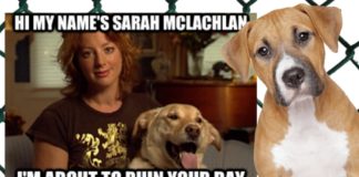 Sarah McLachlan is shown from a SPCA ad to 'ruin your day' and may be doing more ads to help buyers choose between a 2020 GMC Terrain vs 2020 Toyota RAV4.