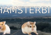 Two hamsters are on the road promoting the Hamsterbil, which will be available at Chevy dealerships soon.