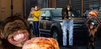 Monkeys, roasted chickens, pants, and Captain Kirk are surrounding an e-F-150, which will be new amongst Ford trucks for sale.
