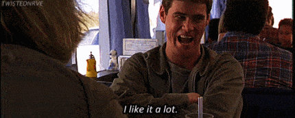 A gif of Lloyd saying 'I like it a lot' from Dumb and Dumber is shown.