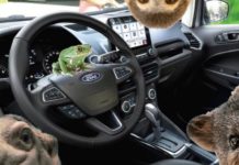 A frog, sloth, and other animals are inside a 2020 Ford EcoSport.