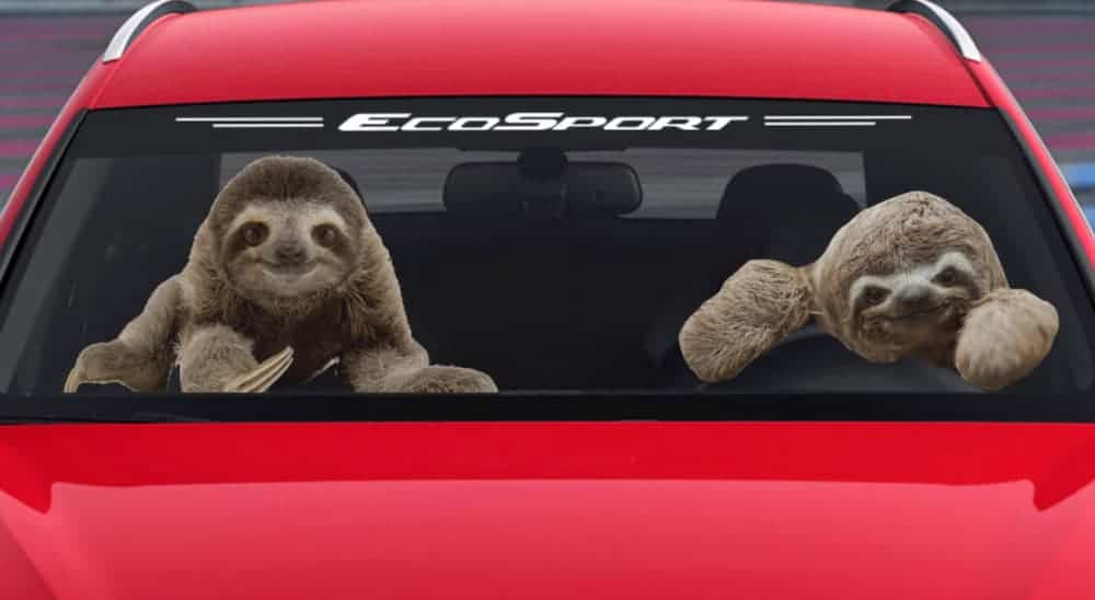 Two sloths are in the front of a red 2020 Ford EcoSport.