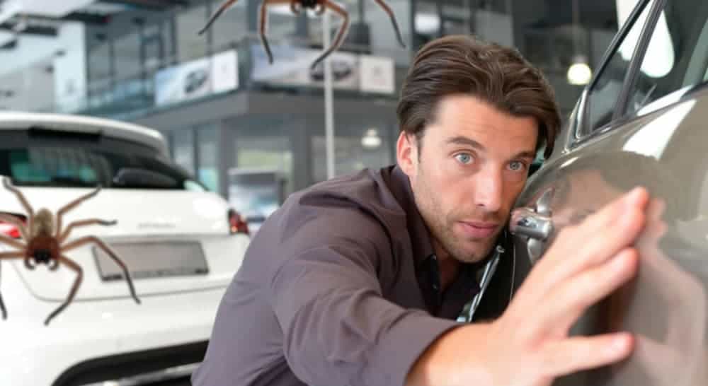 A man is looking at a grey vehicle with spiders in the background.