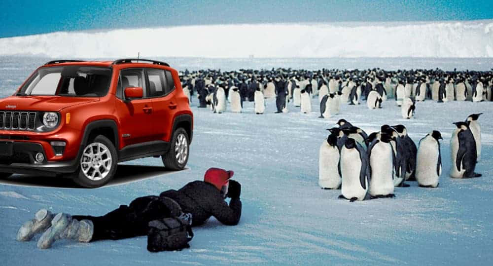 A red 2021 Jeep Renegade is next to a photographer and penguins on ice.