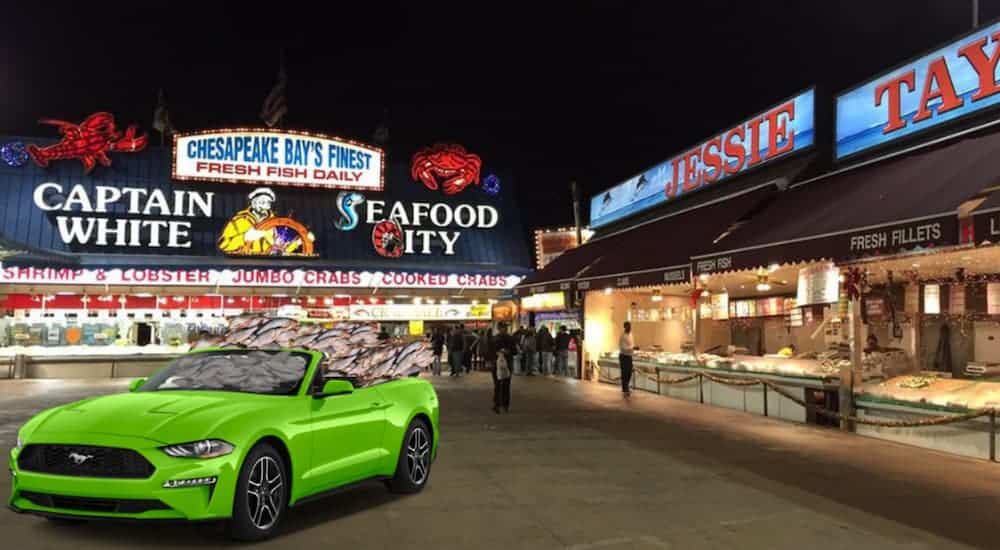 A bright geen 2021 Ford Mustang is parked at a fish market at night.