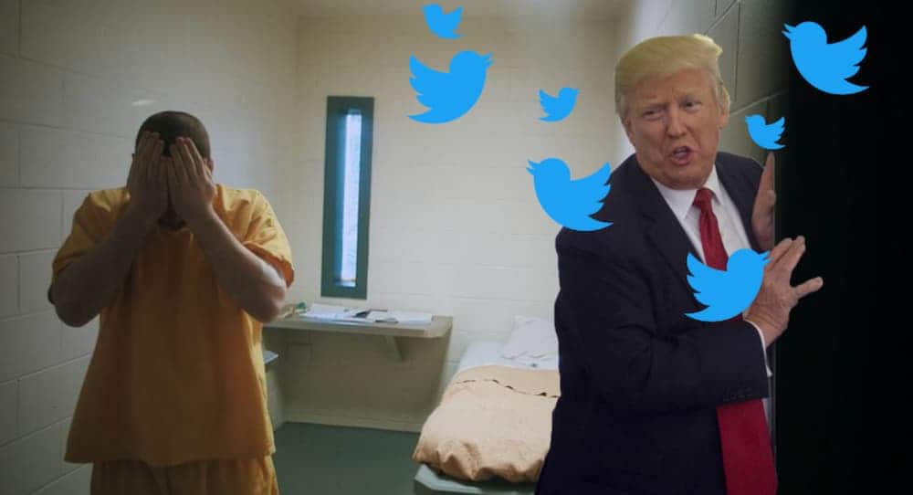 Donald Trump is in prison with another man and the twitter birds are flying around.