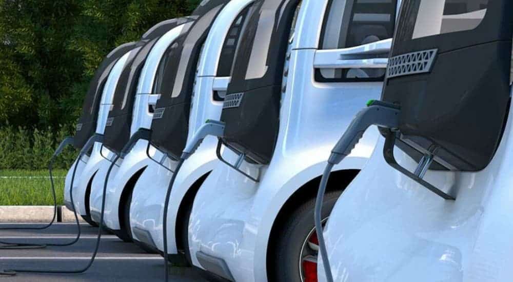 A close up shows a line up of white EVs charging.