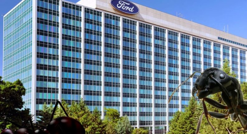The Ford commercial building is shown.