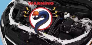 The engine of a 2022 Chevy Equinox shows an electric eel wearing a hat and a warning sign.