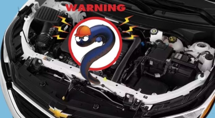 The engine of a 2022 Chevy Equinox shows an electric eel wearing a hat and a warning sign.