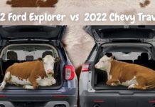 Cows are shown loaded into the back of a Blue 2022 Ford Explorer and a silver 2022 Chevy Traverse during a 2022 Ford Explorer vs 2022 Chevy Traverse comparison.