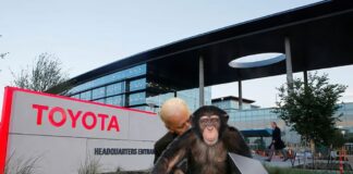 In a comparison of 2023 Toyota Highlander vs 2023 Honda Pilot, Biden sniffs chimpanzee.